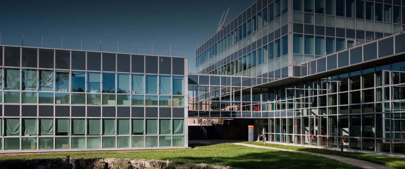 How much does the INSEAD MIM cost?