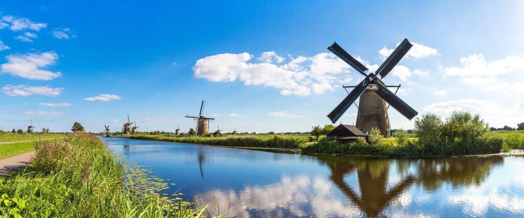 Business School Netherlands (BSN)