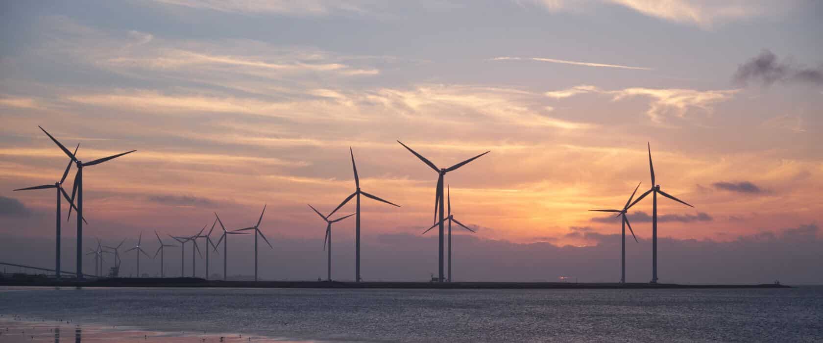This master’s in sustainability landed a student three job offers