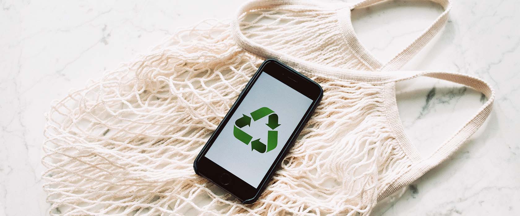 Sustainability matters: Why study sustainability at EDHEC Business School?