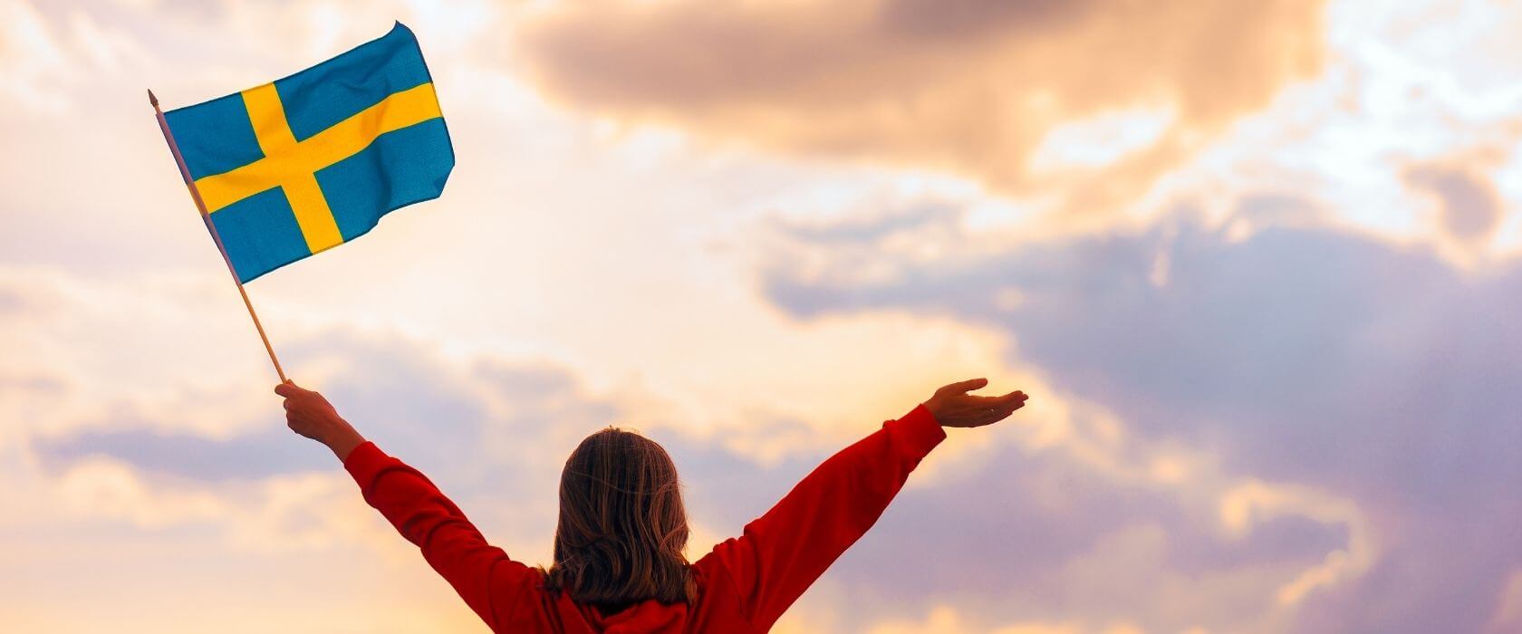 SSE’s 2024 MSc Employment Report: High Employment Rates and Global Innovation