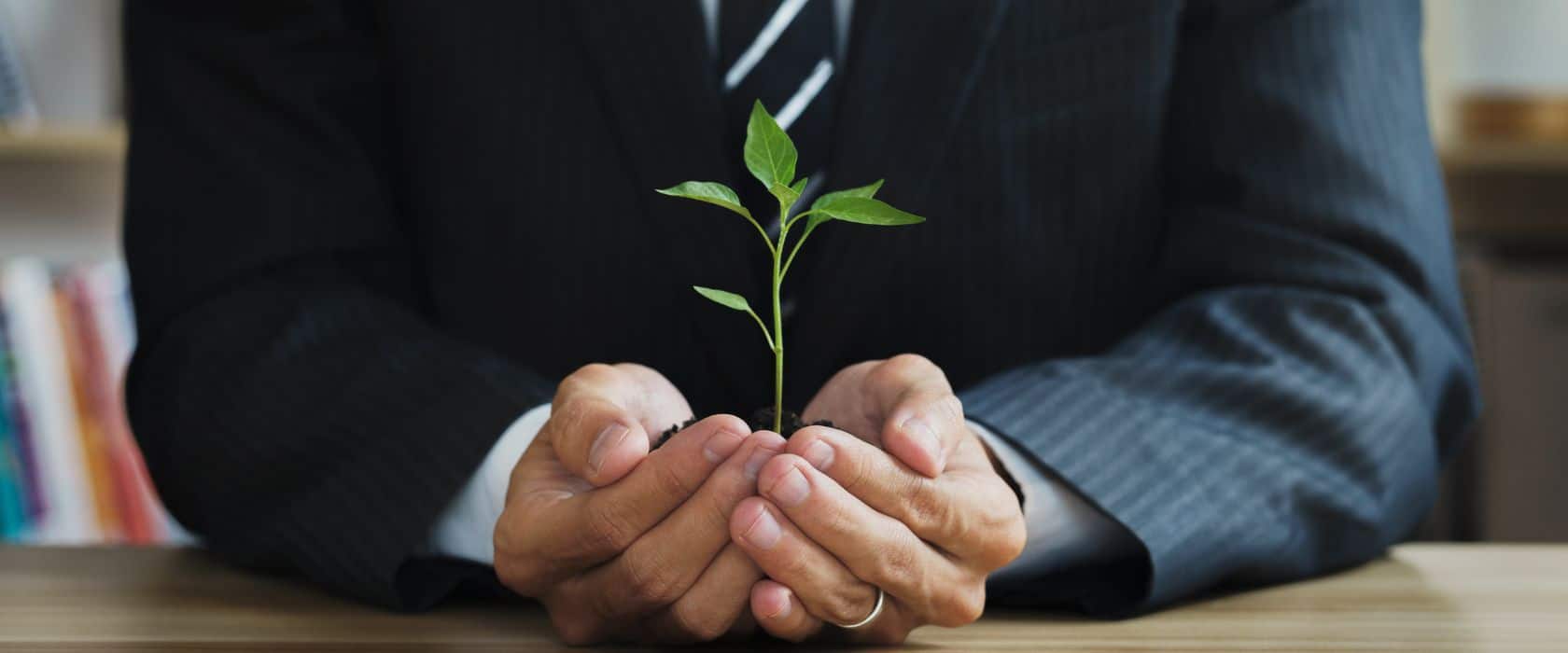 Your Guide to a Master’s in Sustainability & ESG Management