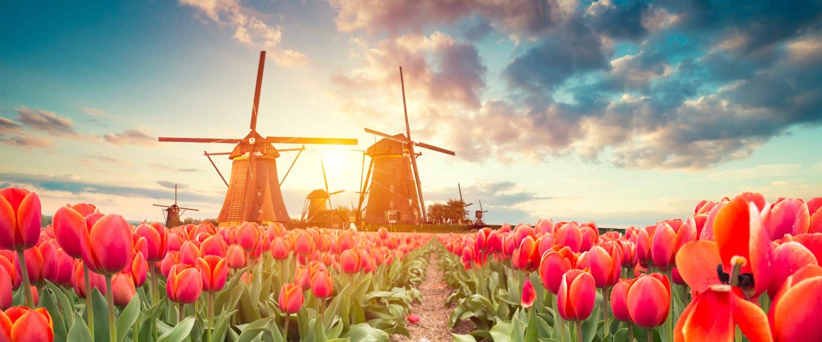 Top 5 Universities for a Master’s Degree in the Netherlands