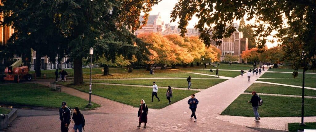 The Rory Gilmore Complex: Ivy Leagues and Mental Health image