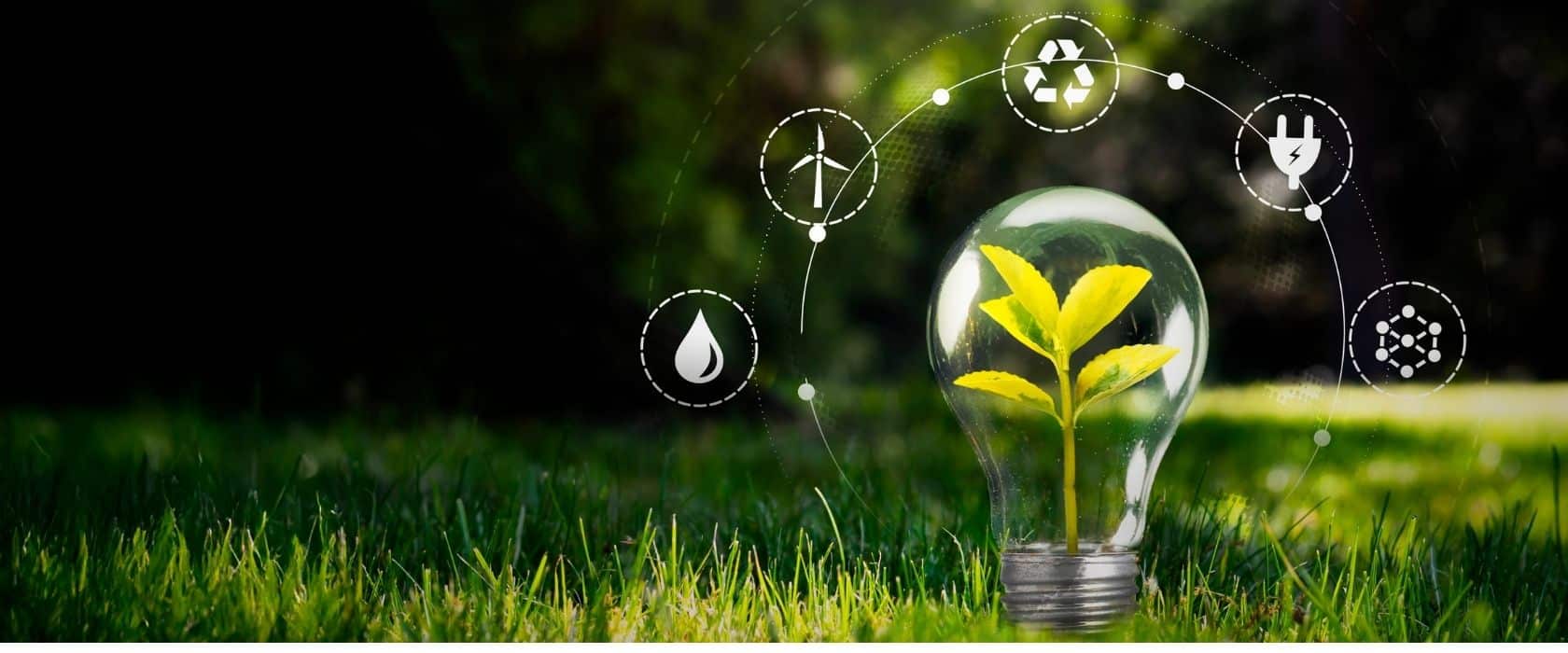Want to Make a Positive Global Impact? This Dynamic Master’s In Sustainability Is for You